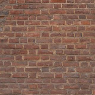 Photo Texture of Wall Bricks